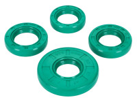 Jeu de joints d'&eacute;tanch&eacute;it&eacute; pour moteur Schmitt
