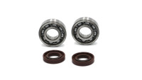Kit de paliers de vilebrequin Radical Racing