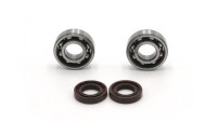 Kit de paliers de vilebrequin Radical Racing