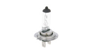Ampoule halogène Ampoule halogène