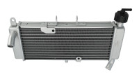 Radiateur Aprilia TNT
