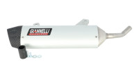 Silencieux arri&egrave;re Giannelli Sonic en aluminium