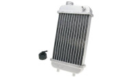 Radiateur avec bouchon de radiateur Radiateur avec bouchon de radiateur