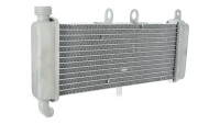 Radiateur Piaggio d'origine Radiateur Piaggio d'origine