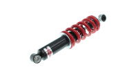 Jambe de suspension / Amortisseur arrière Jambe de suspension / Amortisseur arrière