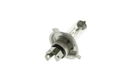 Ampoule halogène Ampoule halogène