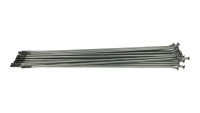 Rayon Beta OEM